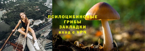 a pvp Билибино
