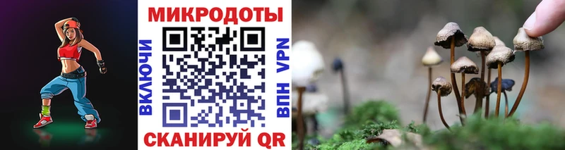 Псилоцибиновые грибы Magic Shrooms  даркнет сайт  Заречный 