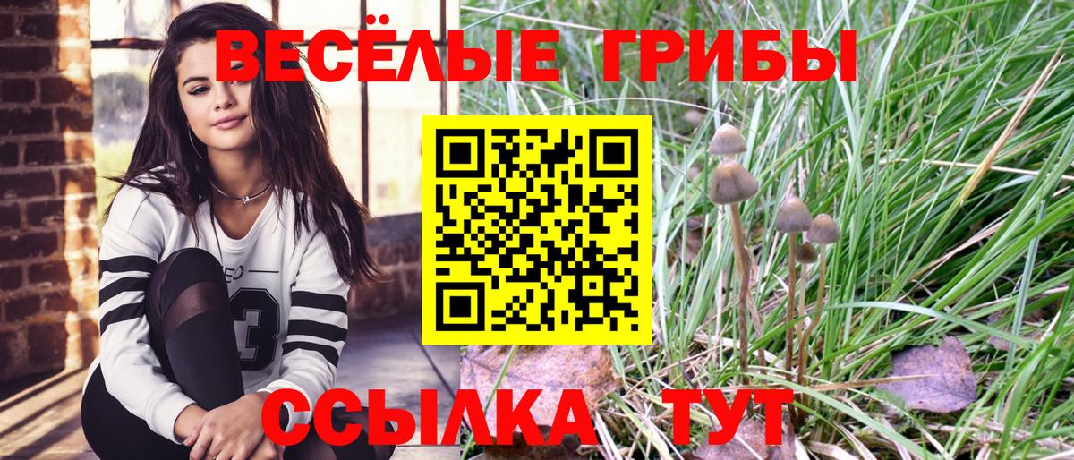 купить наркоту  Галлюциногенные грибы GOLDEN TEACHER  Вход с VPN  Заречный  Псилоцибиновые грибы ЛСД 