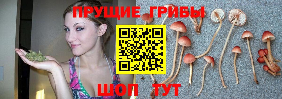 Галлюциногенные грибы Magic Shrooms Заречный