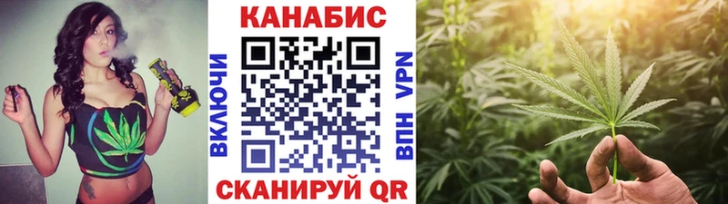 Каннабис план  цены наркотик  hydra ССЫЛКА  Заречный 